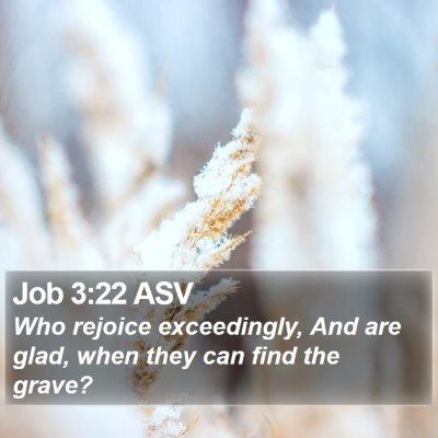 Job 3:22 ASV Bible Verse Image