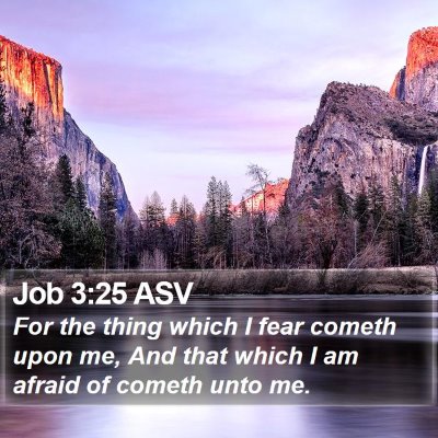 Job 3:25 ASV Bible Verse Image