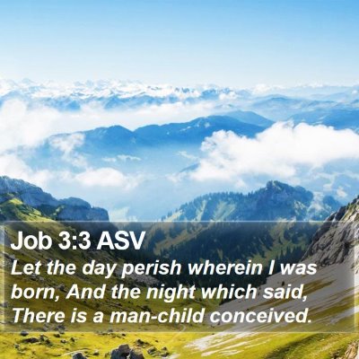 Job 3:3 ASV Bible Verse Image