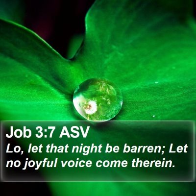 Job 3:7 ASV Bible Verse Image