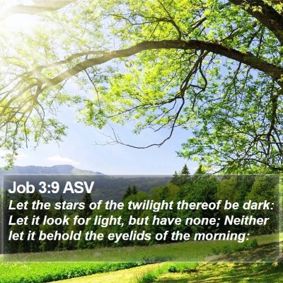 Job 3:9 ASV Bible Verse Image