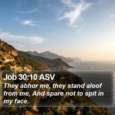 Job 30:10 ASV Bible Verse Image