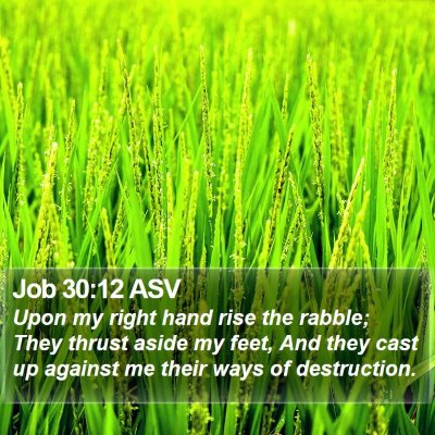 Job 30:12 ASV Bible Verse Image