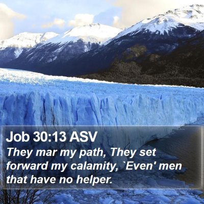 Job 30:13 ASV Bible Verse Image