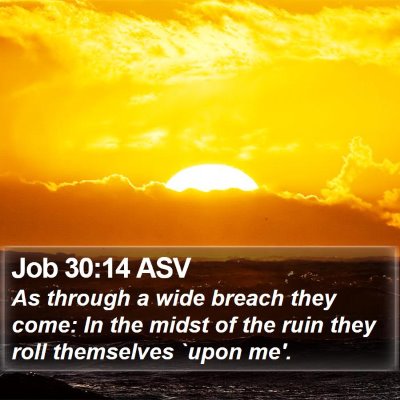 Job 30:14 ASV Bible Verse Image