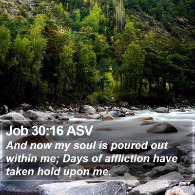 Job 30:16 ASV Bible Verse Image