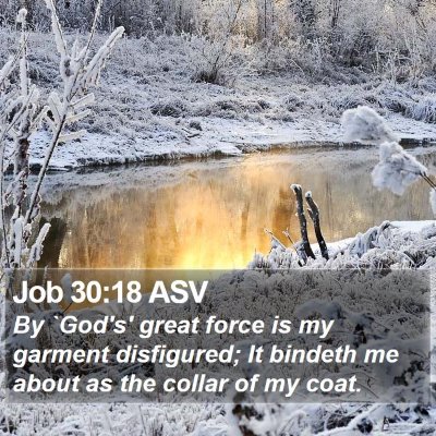 Job 30:18 ASV Bible Verse Image