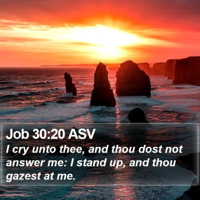 Job 30:20 ASV Bible Verse Image