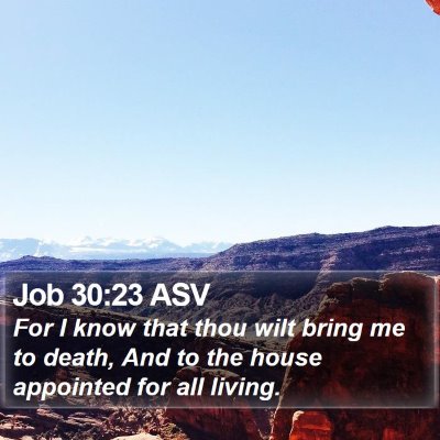 Job 30:23 ASV Bible Verse Image