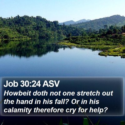 Job 30:24 ASV Bible Verse Image
