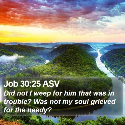 Job 30:25 ASV Bible Verse Image
