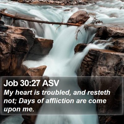 Job 30:27 ASV Bible Verse Image