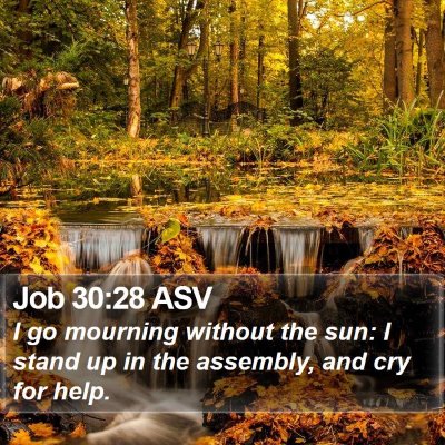 Job 30:28 ASV Bible Verse Image