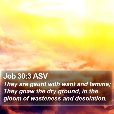 Job 30:3 ASV Bible Verse Image