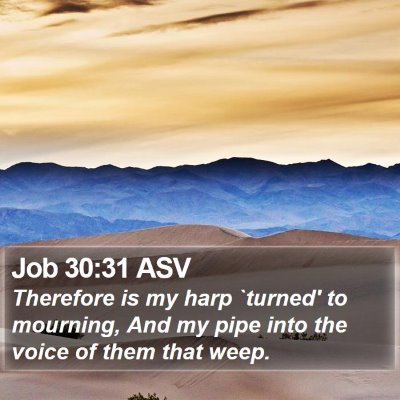 Job 30:31 ASV Bible Verse Image