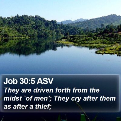 Job 30:5 ASV Bible Verse Image