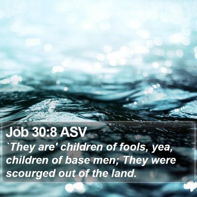 Job 30:8 ASV Bible Verse Image