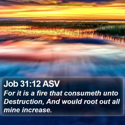 Job 31:12 ASV Bible Verse Image