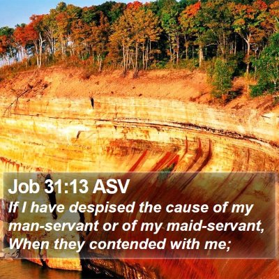 Job 31:13 ASV Bible Verse Image