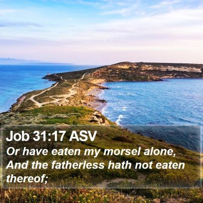 Job 31:17 ASV Bible Verse Image