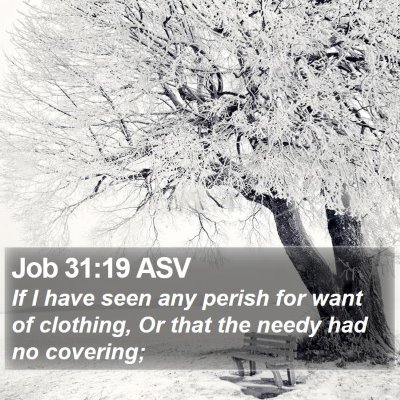 Job 31:19 ASV Bible Verse Image