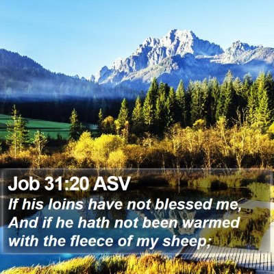 Job 31:20 ASV Bible Verse Image