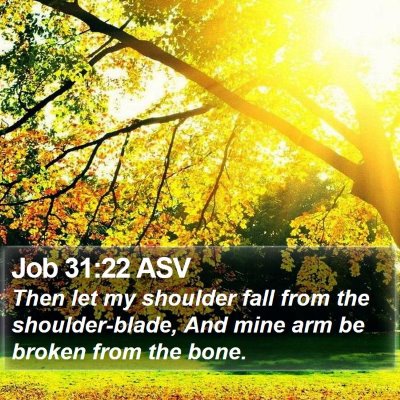 Job 31:22 ASV Bible Verse Image