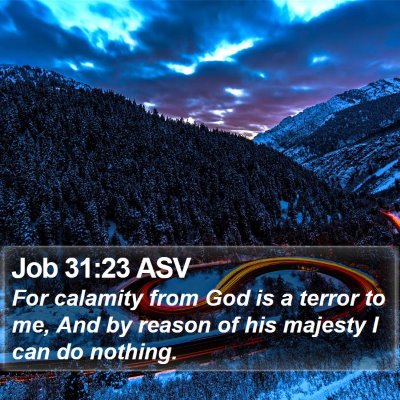 Job 31:23 ASV Bible Verse Image