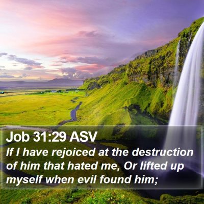 Job 31:29 ASV Bible Verse Image