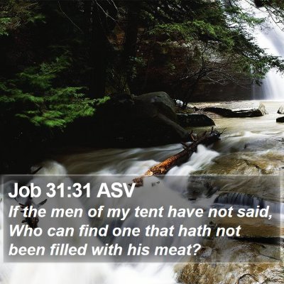 Job 31:31 ASV Bible Verse Image
