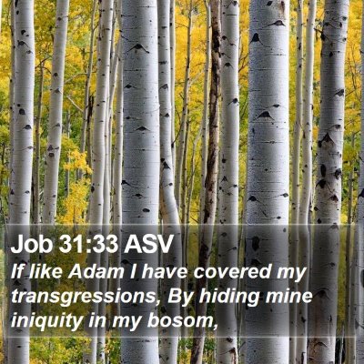 Job 31:33 ASV Bible Verse Image