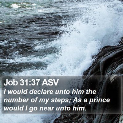Job 31:37 ASV Bible Verse Image