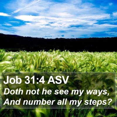 Job 31:4 ASV Bible Verse Image