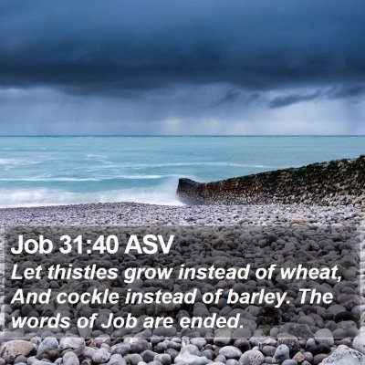 Job 31:40 ASV Bible Verse Image