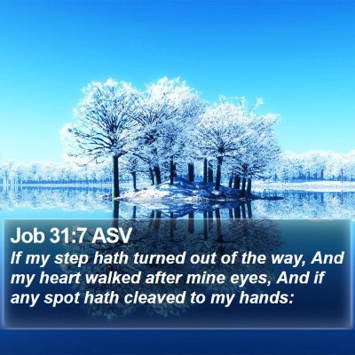 Job 31:7 ASV Bible Verse Image