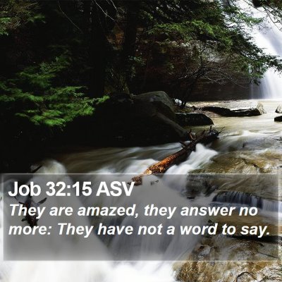 Job 32:15 ASV Bible Verse Image
