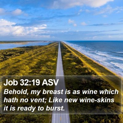 Job 32:19 ASV Bible Verse Image