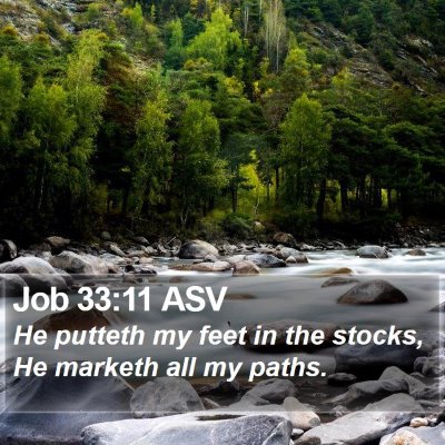 Job 33:11 ASV Bible Verse Image