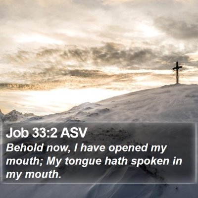 Job 33:2 ASV Bible Verse Image