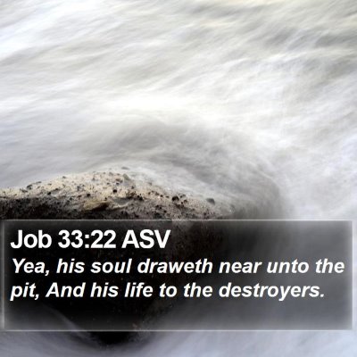 Job 33:22 ASV Bible Verse Image
