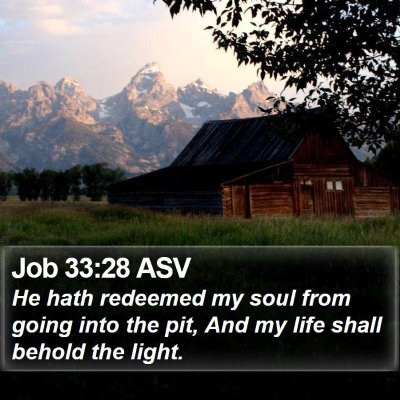 Job 33:28 ASV Bible Verse Image