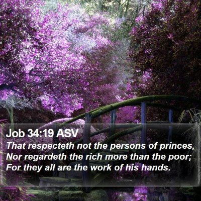 Job 34:19 ASV Bible Verse Image