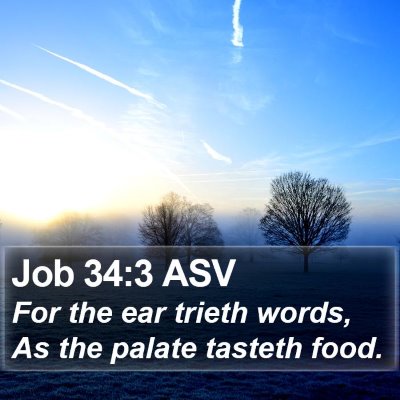 Job 34:3 ASV Bible Verse Image