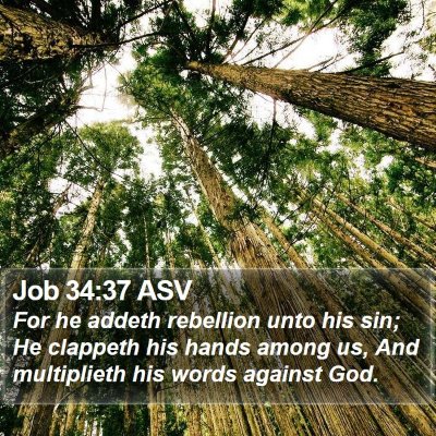 Job 34:37 ASV Bible Verse Image