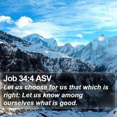 Job 34:4 ASV Bible Verse Image