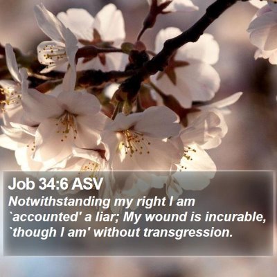 Job 34:6 ASV Bible Verse Image