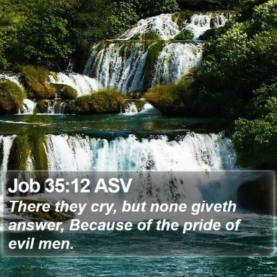 Job 35:12 ASV Bible Verse Image