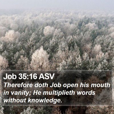 Job 35:16 ASV Bible Verse Image