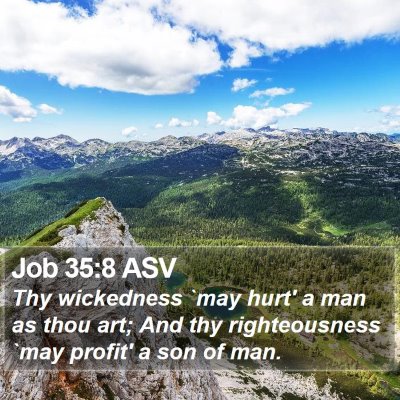 Job 35:8 ASV Bible Verse Image