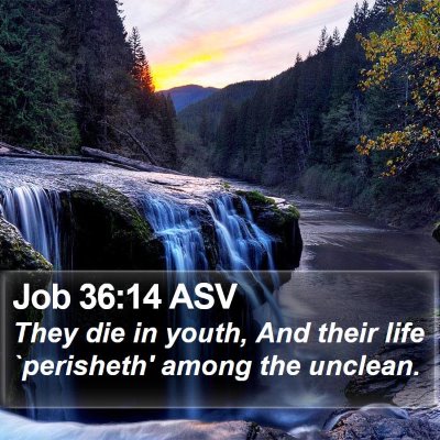 Job 36:14 ASV Bible Verse Image